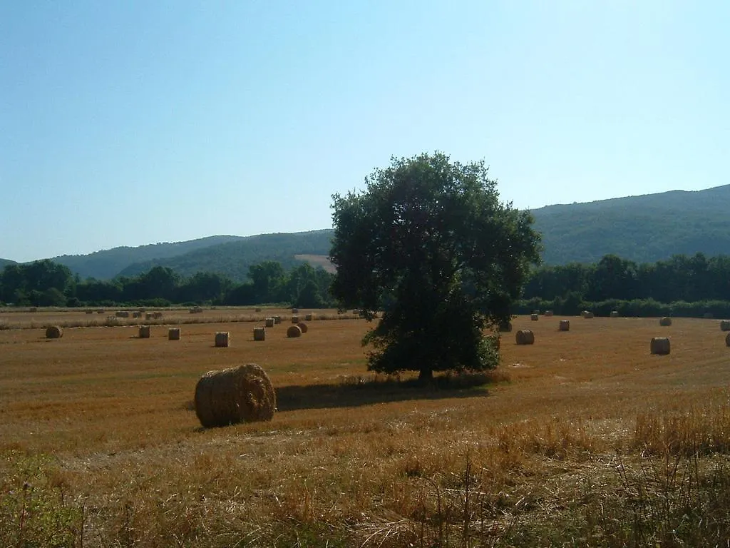 Agriturismo Il Casalino Guest House Pari 0*,  Italy