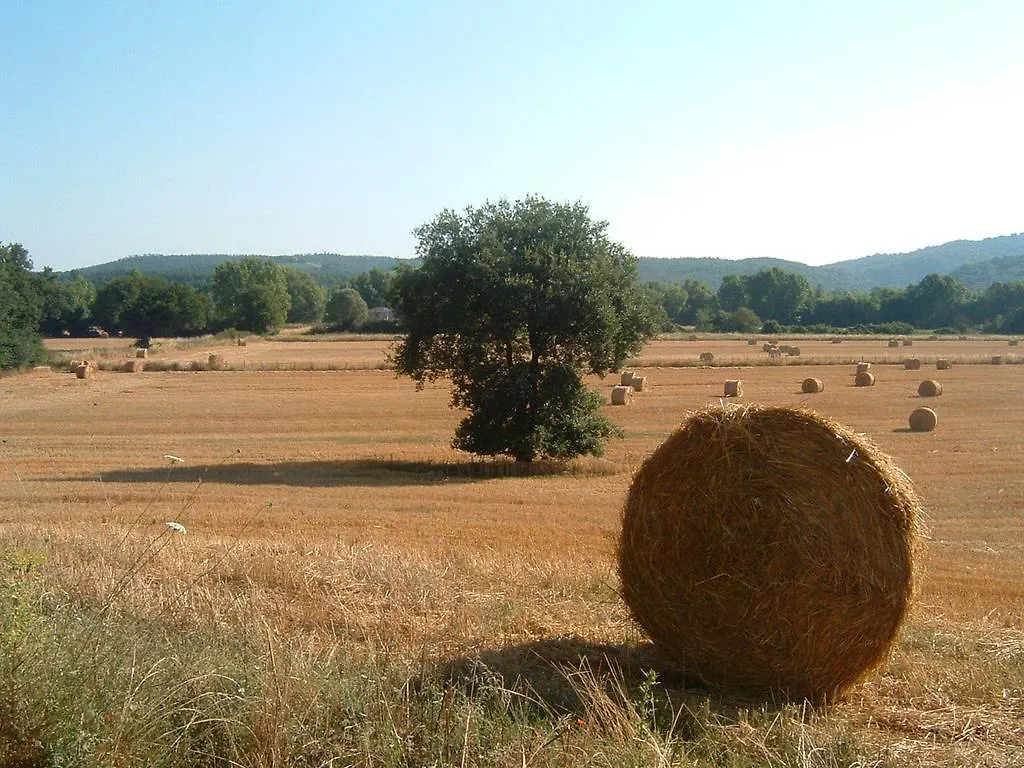 Country house Agriturismo Il Casalino Guest House Pari Italy