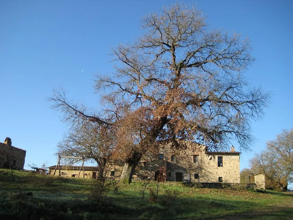 Agriturismo Il Casalino Guest House Pari 0*,